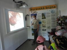 Projektový den -,, Živá příroda na dosah"