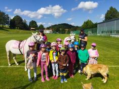 Návštěva koníků od&nbsp;paní Fialové